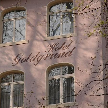 Hotel Goldgrund Meissen Chambre photo